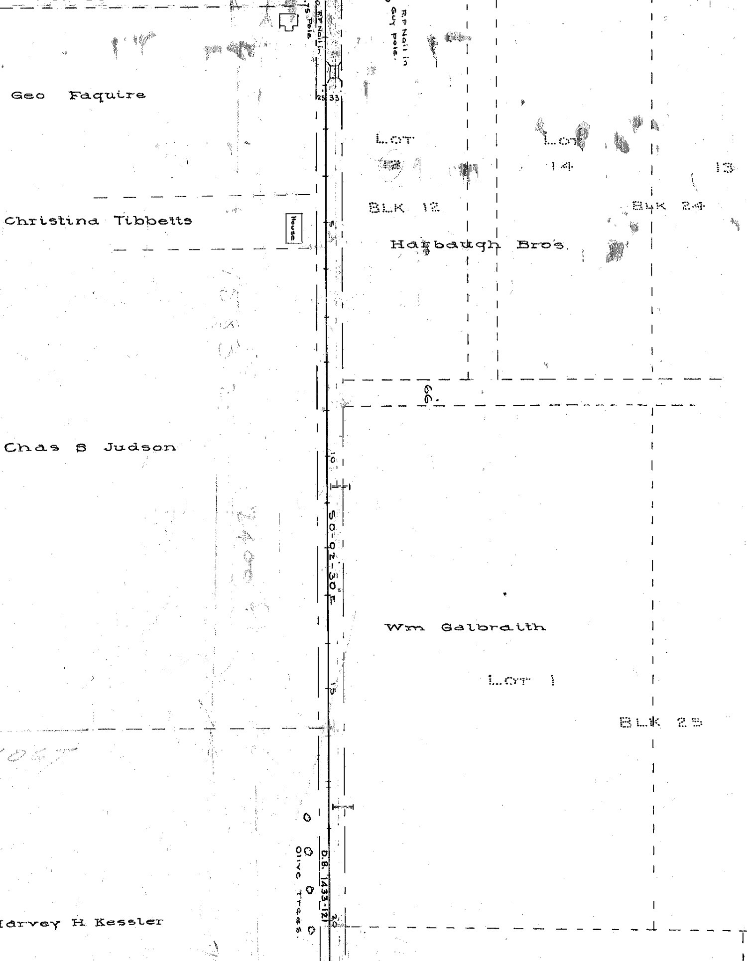 A strip of Road Survey No. 405 turned upright. Jamacha Road runs down the middle as a pair of ruled lines with survey stations ticked along it. To the right of the road, typed parcel labels read Harbaugh Bro's in BLK 12, and lower down Wm Galbraith, LOT 1, BLK 25. To the left, across the road, Geo Faquire, Christina Tibbetts, Chas S Judson and Harvey H Kessler. A row of small circles along the road margin is labelled Olive Trees, beside a deed reference reading D.B. 1433-121.