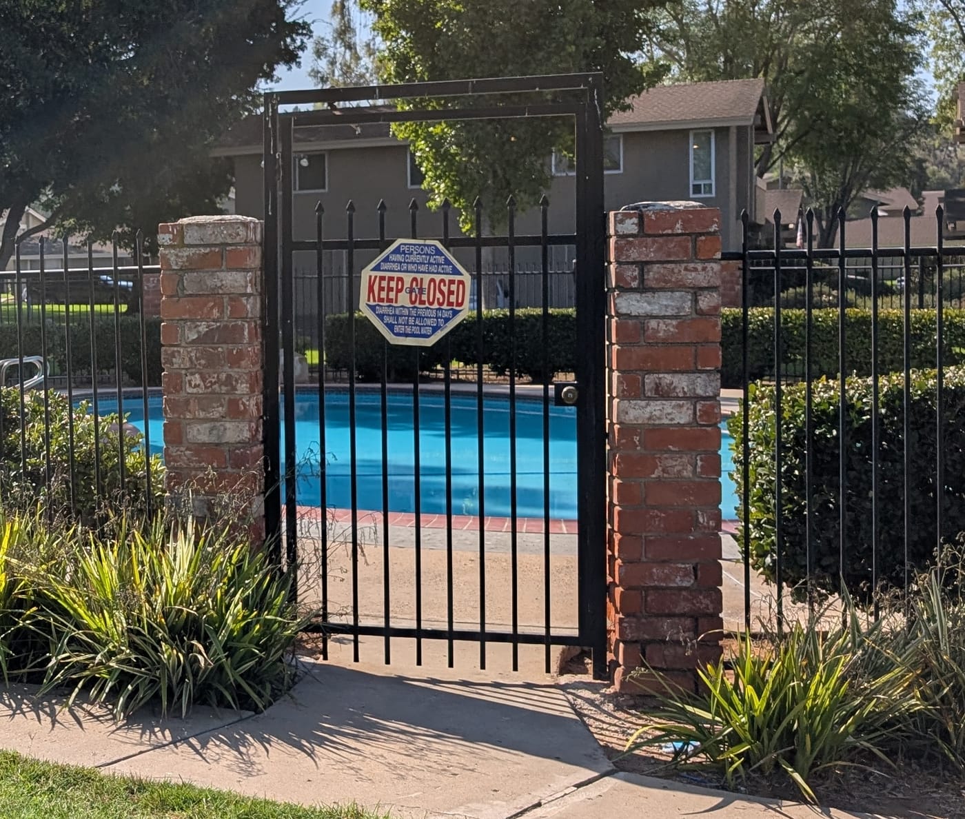 A black wrought-iron gate set between two brick piers in the fence around the Amistad Court pool, closed, with a keyed cylinder lock in the stile at the latch side. An octagonal sign is wired to the bars at eye height: a blue and white health notice reading PERSONS HAVING CURRENTLY ACTIVE DIARRHEA OR WHO HAVE HAD ACTIVE DIARRHEA WITHIN THE PREVIOUS 14 DAYS SHALL NOT BE ALLOWED TO ENTER THE POOL WATER, with KEEP GATE CLOSED overprinted across the middle of it in large red capitals. Behind the bars the pool is full, its water bright blue, with the brick-edged deck around it; a clipped hedge runs along the fence either side, a concrete walk leads up to the gate, and a two-storey unit and trees stand beyond the enclosure.